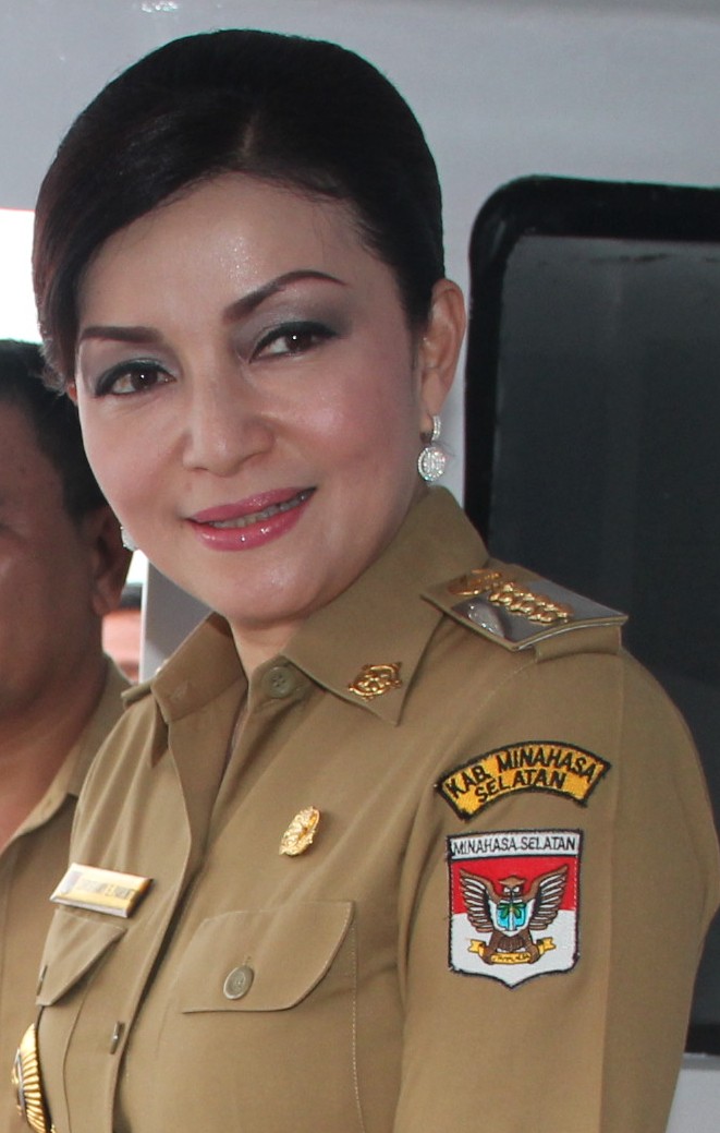 Ketua BPK RI Puji Bupati Minsel